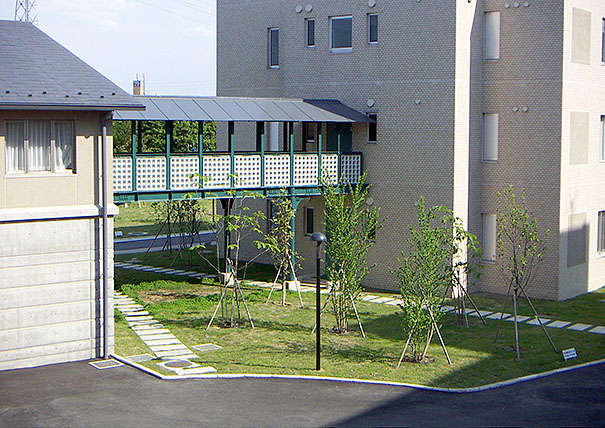 聖学院大学の外構緑化工事(設計施工)・施工写真