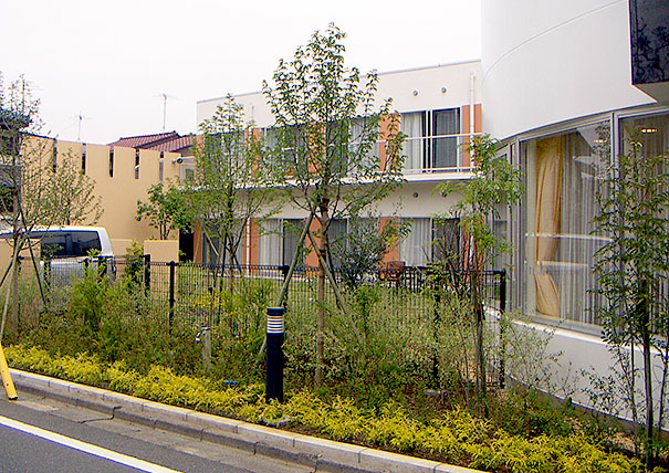 グランダ上井草の外構緑化工事・施工写真