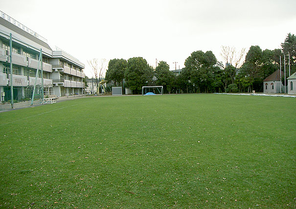 杉並区立永福南小学校の校庭芝生化工事・施工写真