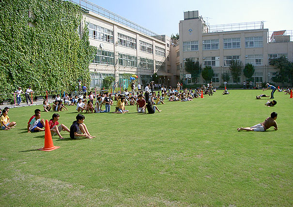 杉並区立東田小学校の校庭芝生化工事・施工写真